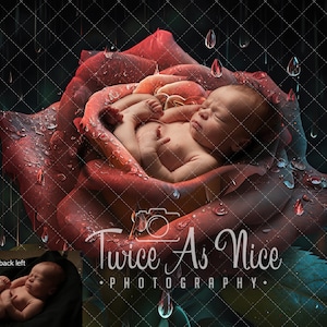 May include: A newborn baby sleeping peacefully inside a large red rose with water droplets falling around it. The image is a composite of a baby and a rose, with the text "Twice As Nice Photography" at the bottom.