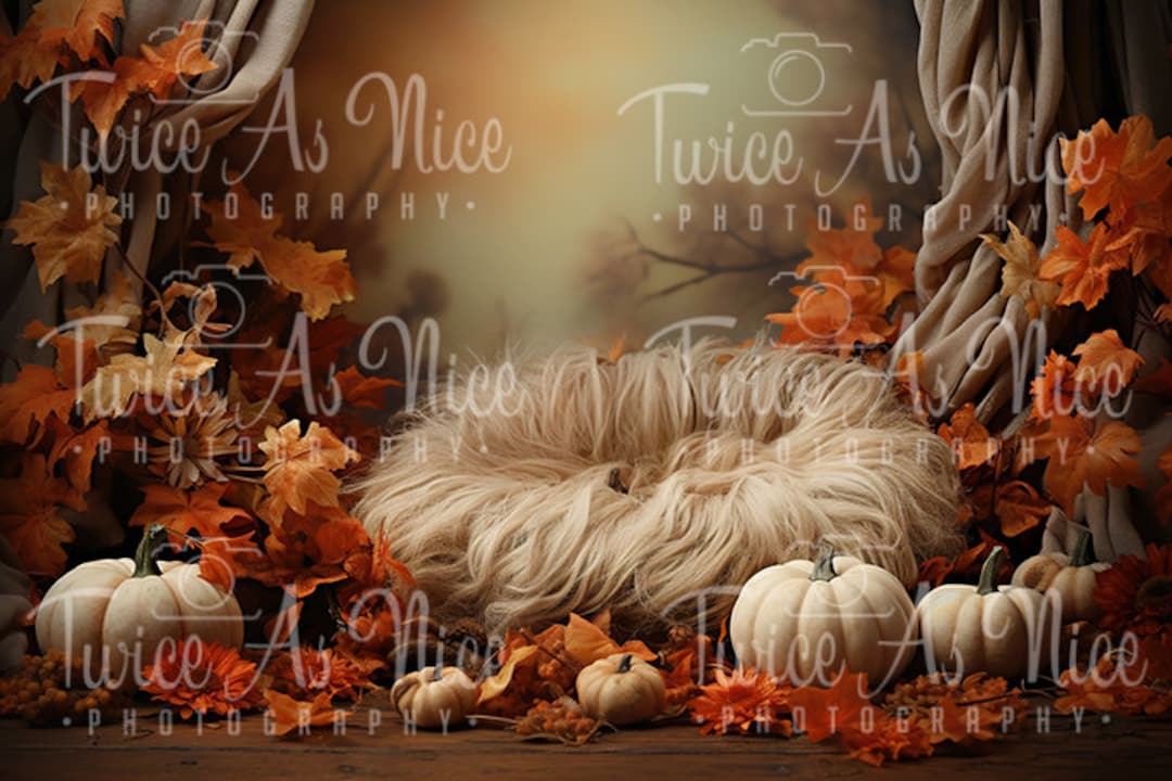 Newborn Digital Backdrop, Autumn Fall Newborn Digital Background ...