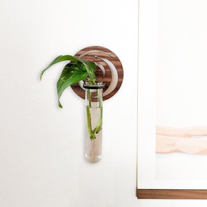 Golden Ratio Flower Circle Propagation Wall Vase