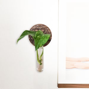Geometric Flower Circle Propagation Wall Vase