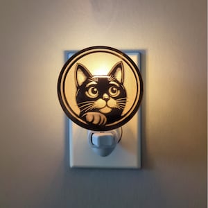 Here Kitty, Kitty Mirrored Acrylic Night Light