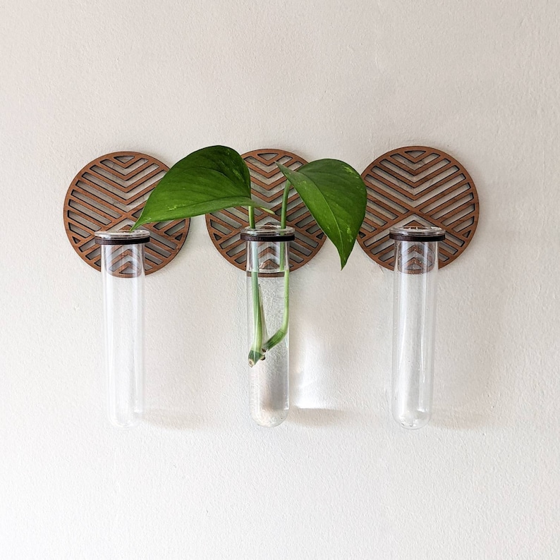 Wall Hanging Graphic Circle Propagation Vase Etsy