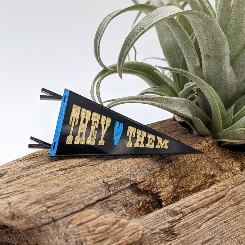 Preferred Gender Pronouns Pennant Pin