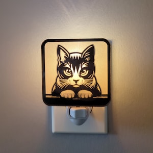 Kitty Staring Contest Mirrored Acrylic Night Light