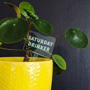 Funny and Punny Plant Markers - Watering Reminders and Drinking
