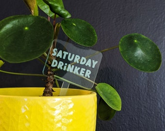 Funny and Punny Plant Markers - Watering Reminders and Drinking