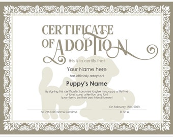 Certificate Of Adoption Template from i.etsystatic.com