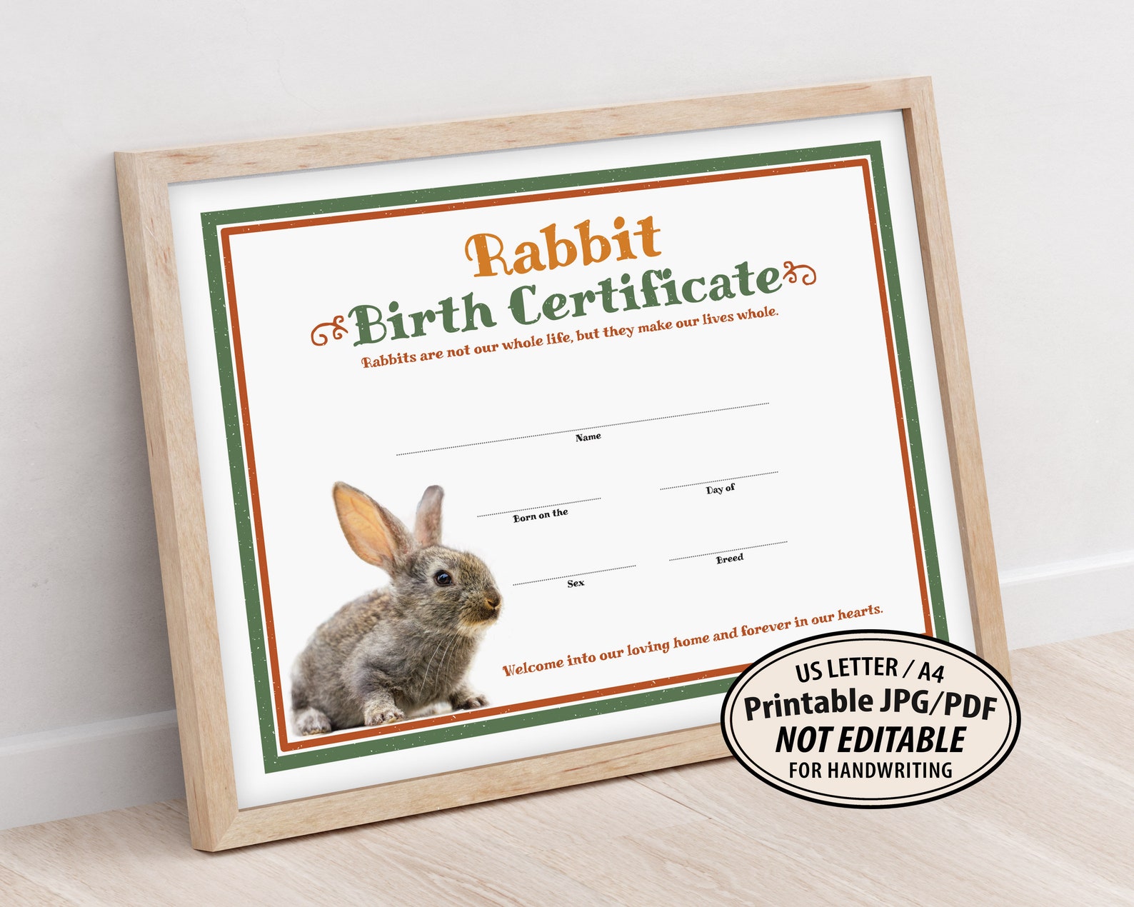 Rabbit Birth Certificate Template Printable Easter Gift | Etsy