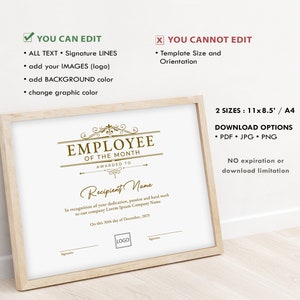 Printable Employee of the Month EDITABLE Template, Employee of the ...