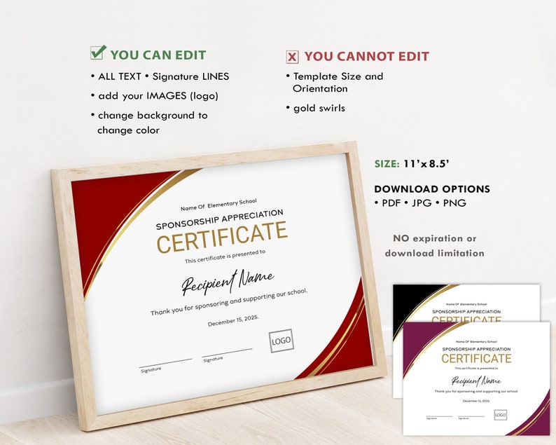 Appreciation Certificate Template, School Sponsorship Certificate, EDITABLE Certificate of Appreciation, Gift Certificate Download, Jet149 image 2