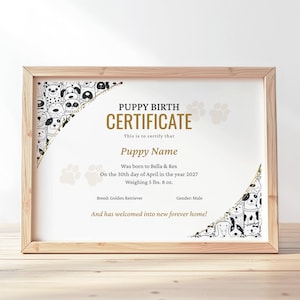 Puppy Birth Certificate Template, Editable Printable Paw Certificate of Birth, Gift Dog Birth Certificate Template, Digital Download, Jet149