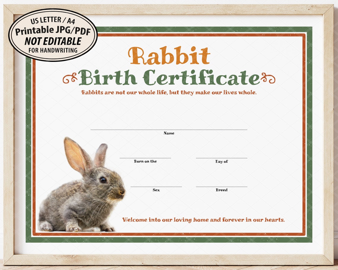 Rabbit Birth Certificate Template Printable Easter Gift Etsy