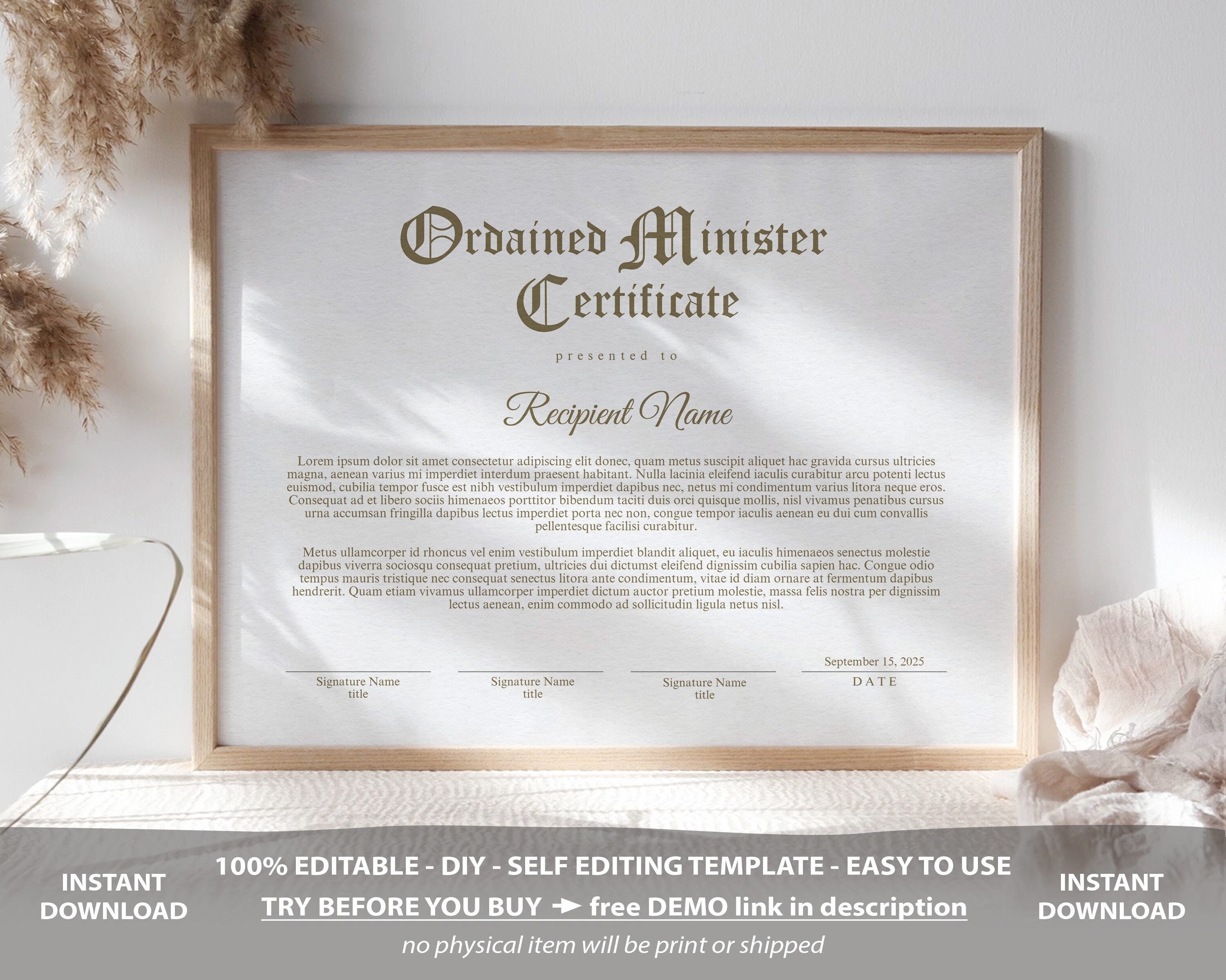 Ordained Minister Certificate Template Printable Certificate - Etsy