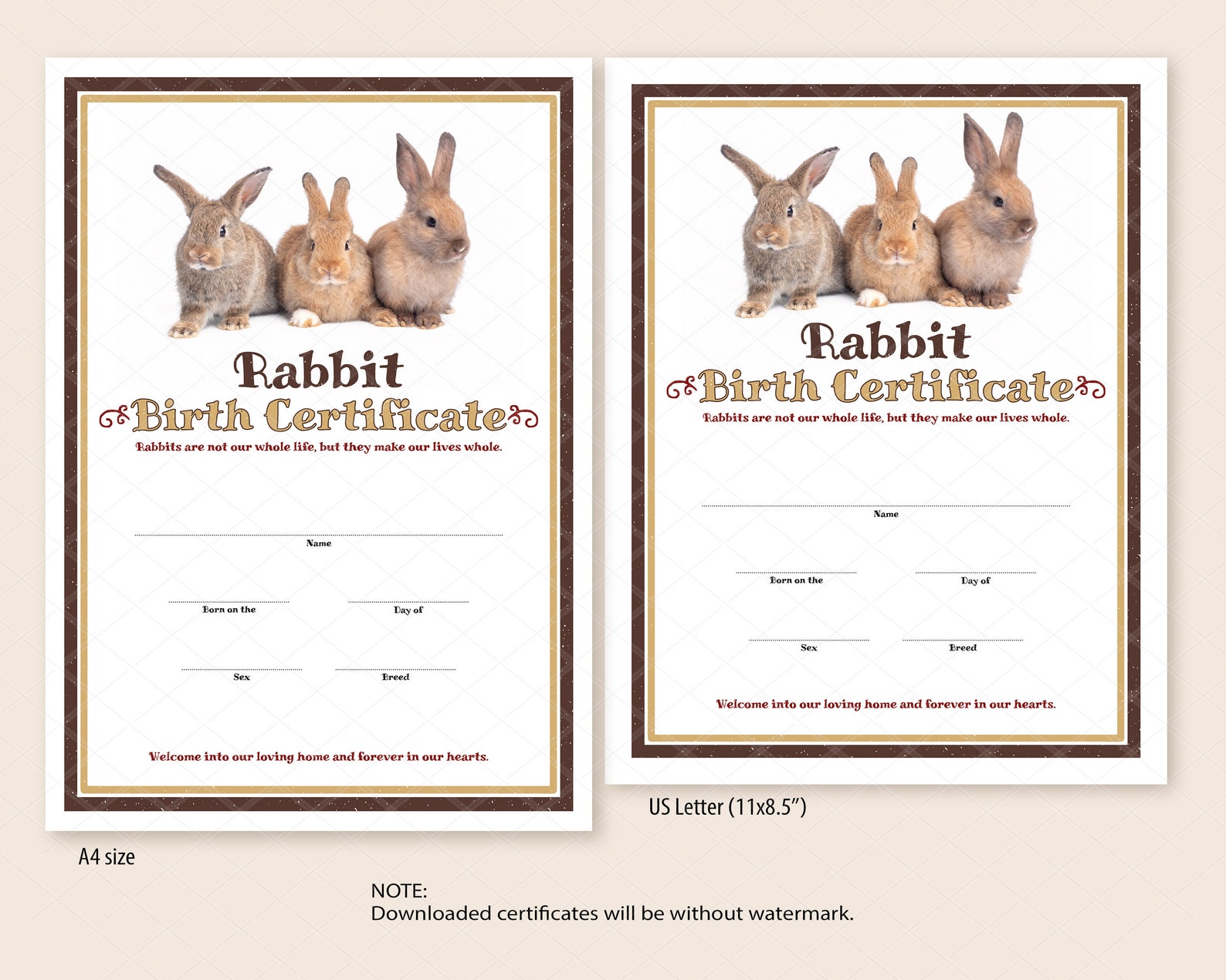 Rabbit Birth Certificate Template Printable Easter Rabbit - Etsy