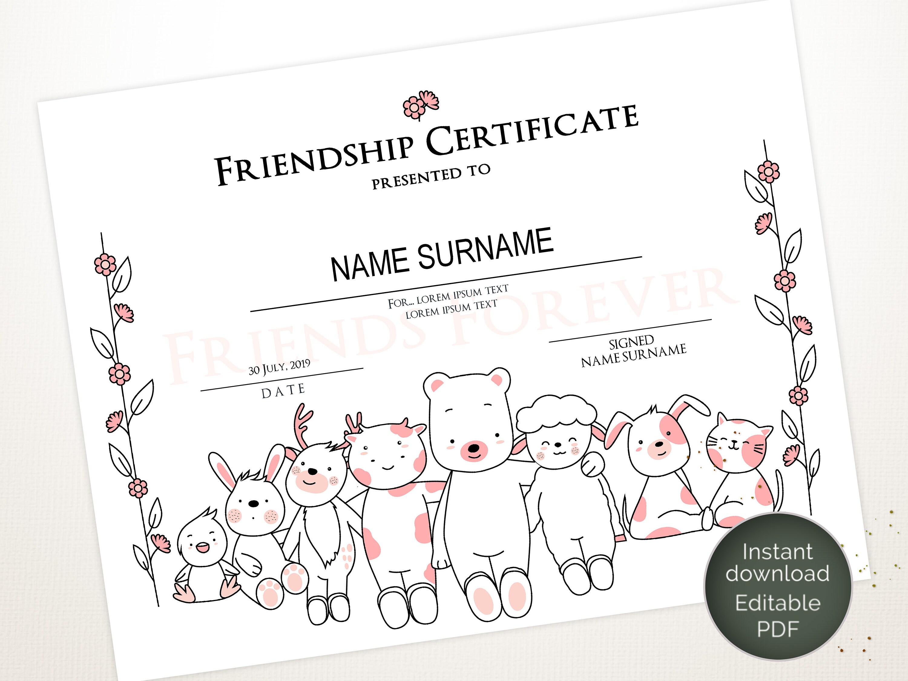 Printable Friendship Certificate Template Editable Friendship | Etsy