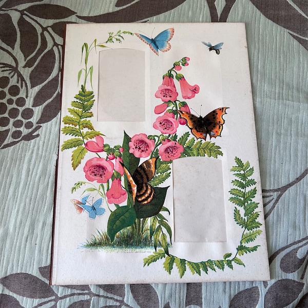 Antique Victorian photo album page butterflies flowers & fern photo mount decorative mount crafting