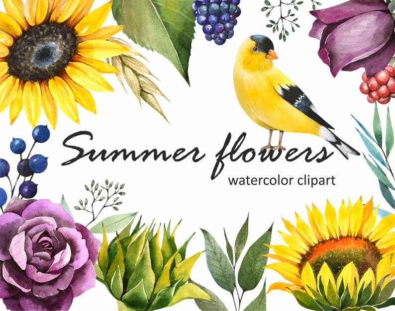 Download Flowers clipart. Sunflowers and eucalyptus clipart ...