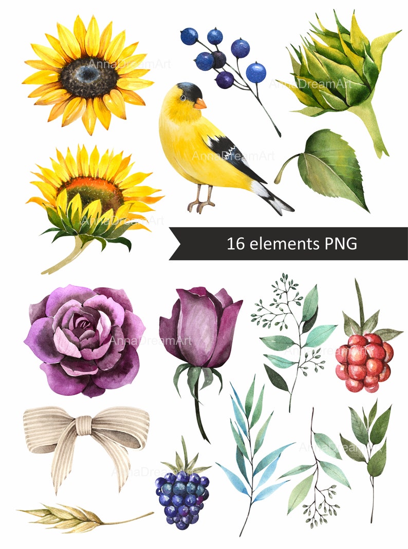 Download Flowers clipart. Sunflowers and eucalyptus clipart ...