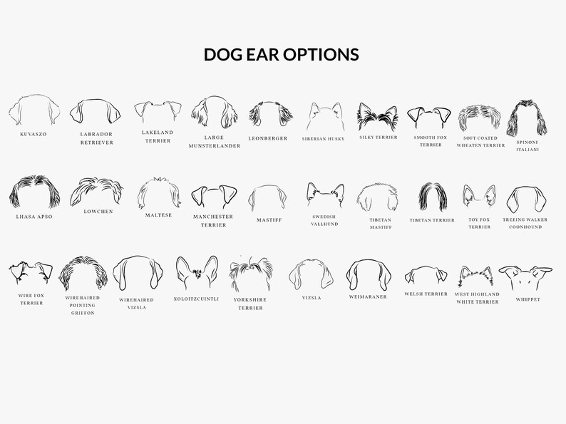 Dog Mom Mug With Name, Dog Mom Gift For Women Her, Personalized Dog Ears Cups, Dog Dad Gift, Dog Lover Gift Pet Owner Memorial Birthday P429 image 5