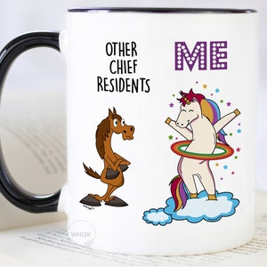 Chief Resident Mug For Chief Resident Gifts For Chief Resident Coffee Mug Funny Doctor Cup Doctor Retirement Christmas Birthday MUC1299