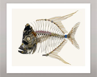 Lookdown fish signed fine art print gilclee 12 x 10 inch