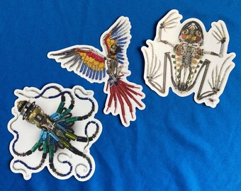 3 Stickers, Lookdown fish, Macaw Parrot, Octopus, Frog diecut stickers