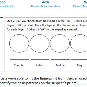 Op de afbeelding: Een werkblad met instructies voor het identificeren van vingerafdrukpatronen. Het werkblad bevat drie vingerafdrukpatronen: lus, boog en werveling. Het werkblad bevat ook vijf cirkels voor elk patroon, die de vingerafdrukken van de duim, wijsvinger, middelvinger, ringvinger en pink voorstellen.
