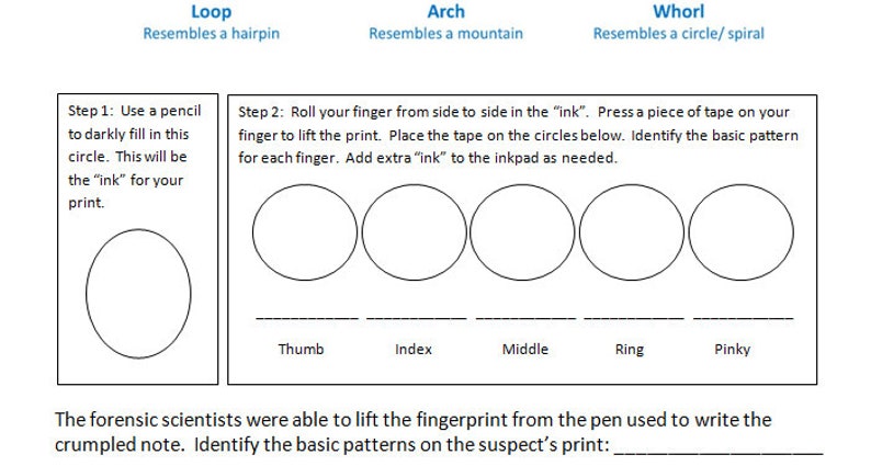 Op de afbeelding: Een werkblad met instructies voor het identificeren van vingerafdrukpatronen. Het werkblad bevat drie vingerafdrukpatronen: lus, boog en werveling. Het werkblad bevat ook vijf cirkels voor elk patroon, die de vingerafdrukken van de duim, wijsvinger, middelvinger, ringvinger en pink voorstellen.