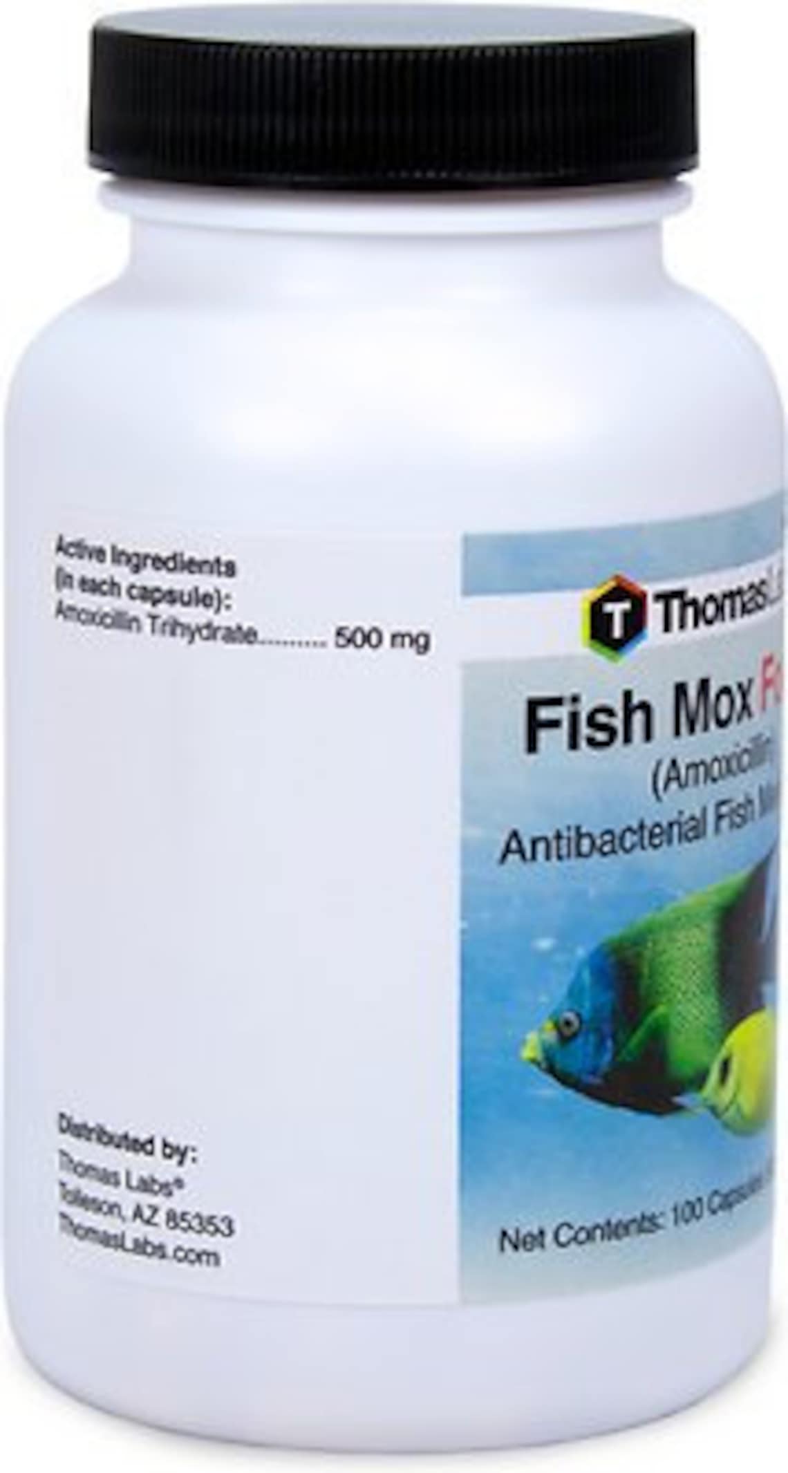 Fish Mox Forte Amoxicillin 500mg 30 Count aquarium Etsy