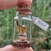 Sml Zelda BOTW inspired Personalised Korok in a Glass Bottle (B) Gaming themed collectible 