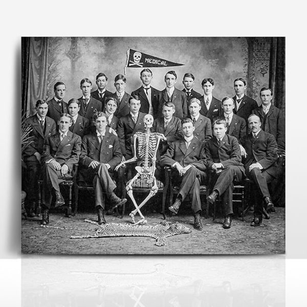 Antique Medical School Class Photo, 1912 Manitoba Medical Class 8x10 Print, Vintage Skeleton, Gothic Portrait Anatomy Poster Spooky Picture