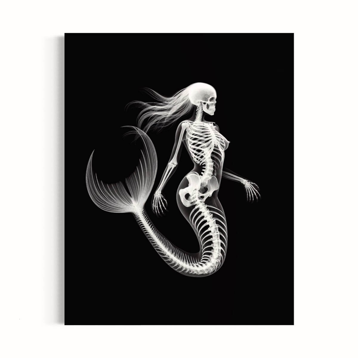 Skeleton Mermaid Skeleton Mermaid