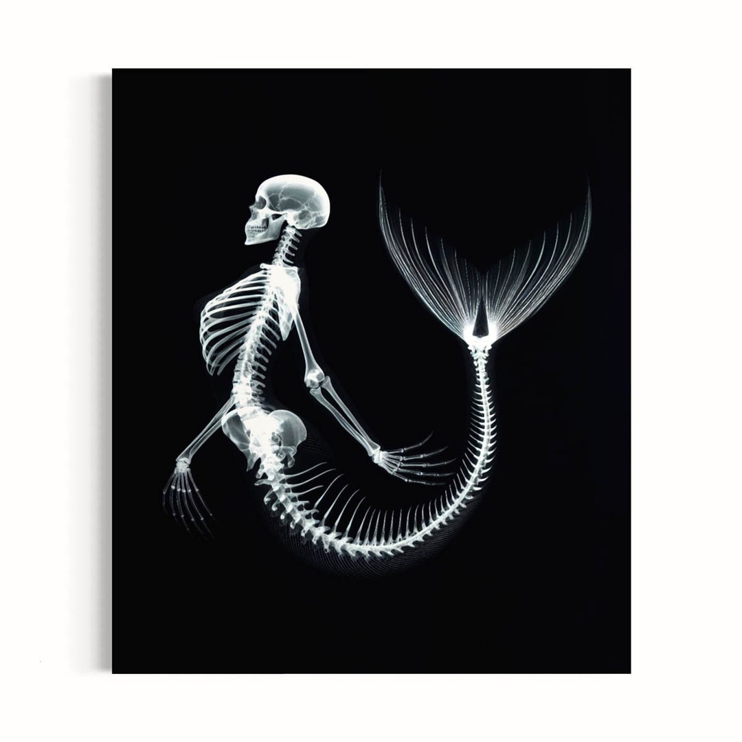 Skeleton Mermaid Print Mermaid Wall Decor Skeleton Etsy