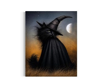 May include: A digital illustration of a fluffy black cat wearing a pointed black witch hat and a black cape. The cat is positioned in a field of dry grass against a dark night sky featuring a crescent moon and scattered stars in the background.