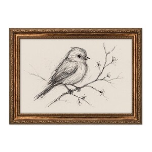 Op de afbeelding: Een zwart-witte inkttekening van een kleine vogel die op een tak zit met delicate bloesems. De vogel kijkt naar rechts en heeft een rond lichaam en een lange staart. De tekening is ingelijst in een gouden lijst.