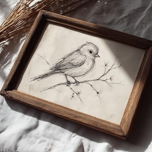 Op de afbeelding: Een zwart-witte inkttekening van een kleine vogel die op een tak zit met delicate bloemen. De tekening is ingelijst in een rustiek houten frame.