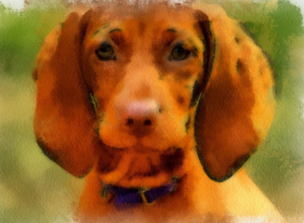 Personalisiertes Hundebild Hund Geschenk Hund Personalisiert Etsy