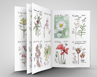 PRE-ORDER for May! New extended edition,+~30 plants: 100 plants sketchbook ZINE (A5)