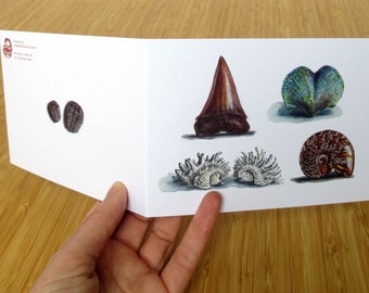 Fossil card