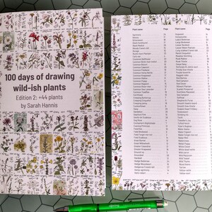 Pu&ograve; includere: Un libro aperto intitolato "100 giorni di disegno di piante selvatiche" di Sarah Hannis. Il libro presenta illustrazioni botaniche di varie piante, con testo e un sommario. Una penna verde &egrave; appoggiata vicino al libro.