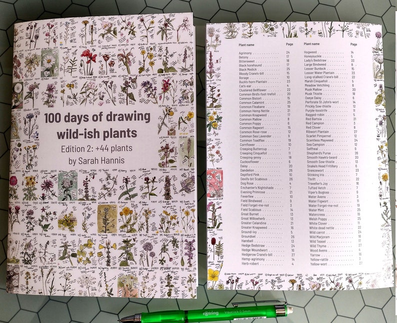 Pu&ograve; includere: Un libro aperto intitolato "100 giorni di disegno di piante selvatiche" di Sarah Hannis. Il libro presenta illustrazioni botaniche di varie piante, con testo e un sommario. Una penna verde &egrave; appoggiata vicino al libro.