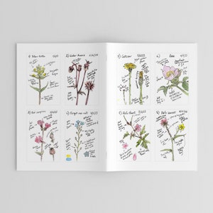 Pu&ograve; includere: Un libro aperto con illustrazioni botaniche di vari fiori selvatici, tra cui la cresta di gallo, l'avens d'acqua e il garofano rosso. Ogni disegno &egrave; accompagnato da note manoscritte e date, creando un'estetica da guida da campo.