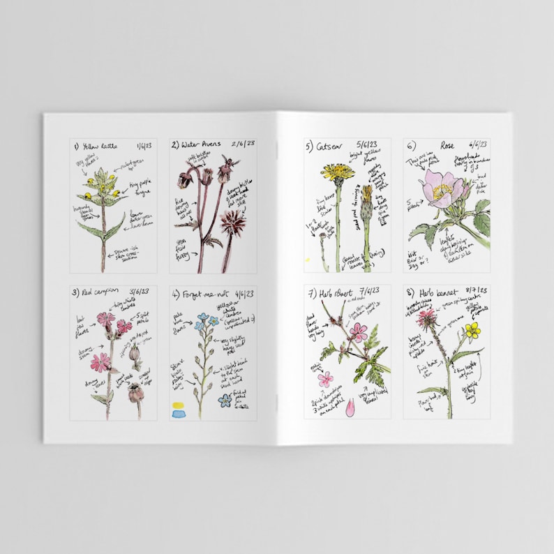 Pu&ograve; includere: Un libro aperto con illustrazioni botaniche di vari fiori selvatici, tra cui la cresta di gallo, l'avens d'acqua e il garofano rosso. Ogni disegno &egrave; accompagnato da note manoscritte e date, creando un'estetica da guida da campo.
