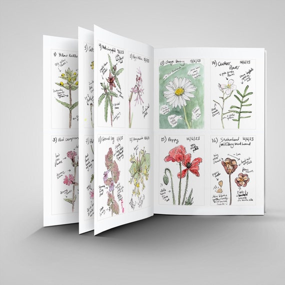MISPRINTED 144 wild flower sketchbook ZINE (A5)