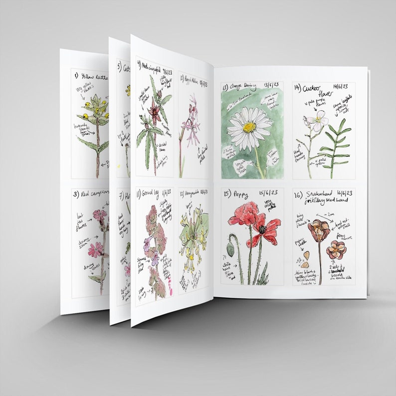 Pu&ograve; includere: Un diario botanico aperto che mostra illustrazioni ad acquerello di vari fiori e piante. Ogni disegno &egrave; accompagnato da note manoscritte e date, che mostrano uno studio dettagliato della flora.