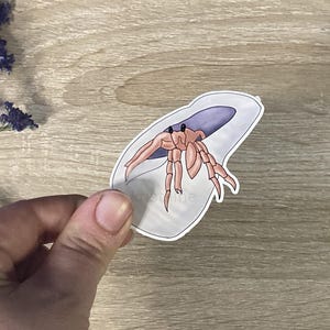 Sticker Bernard l'Hermite  - Autocollant Original d'Artiste 6.5cmx 6cm