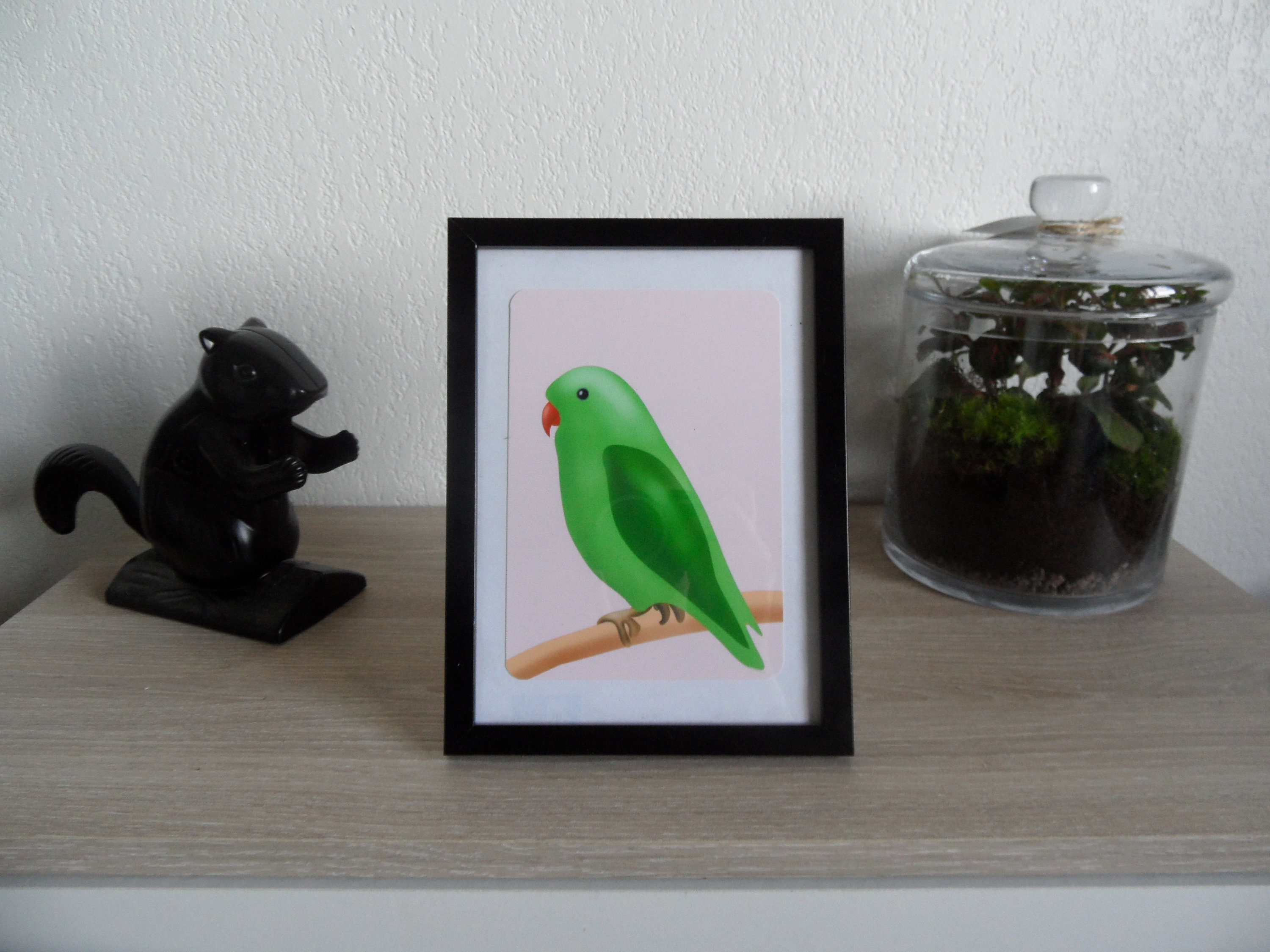 Art Print Perruche Verte