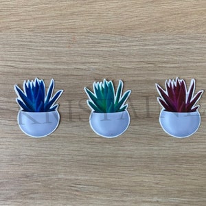 Sticker succulente colorée pour personnaliser tous vos objets et accessoires