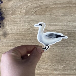 Sticker Fou de Bassan Élégant - Autocollant Oiseau Marin, Détail Nature Océanique - 7x6cm