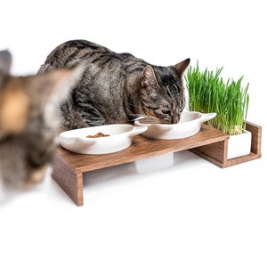 Feeding station with bowl for cat grass, ceramic bowls, double bowl